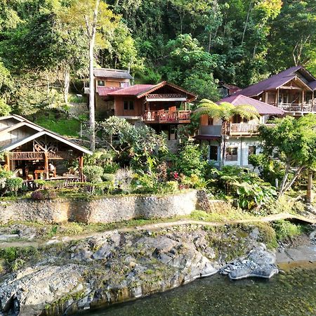 Kupu Kupu Garden Guest House & Cafe Bukit Lawang Bagian luar foto