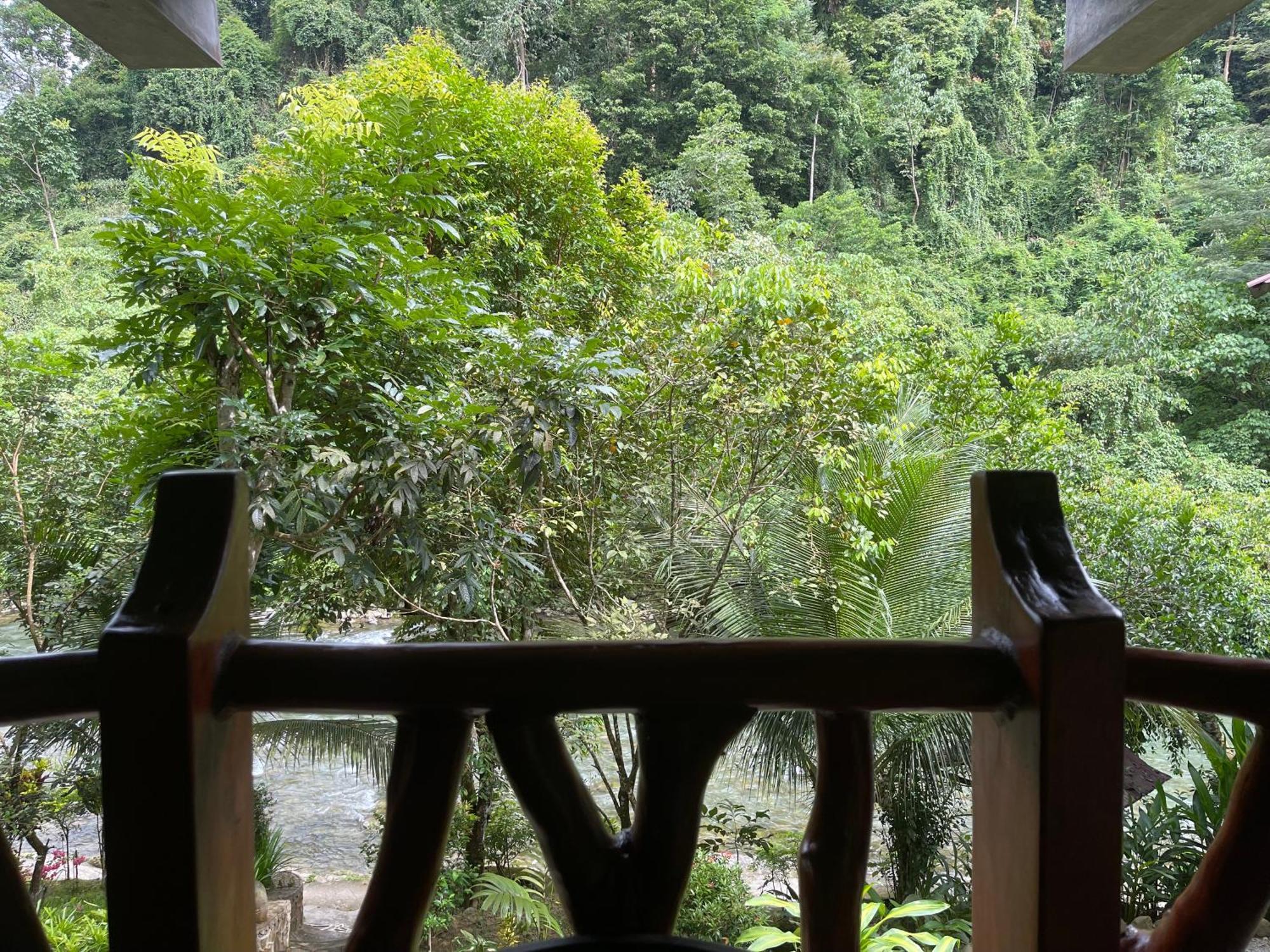 Kupu Kupu Garden Guest House & Cafe Bukit Lawang Bagian luar foto