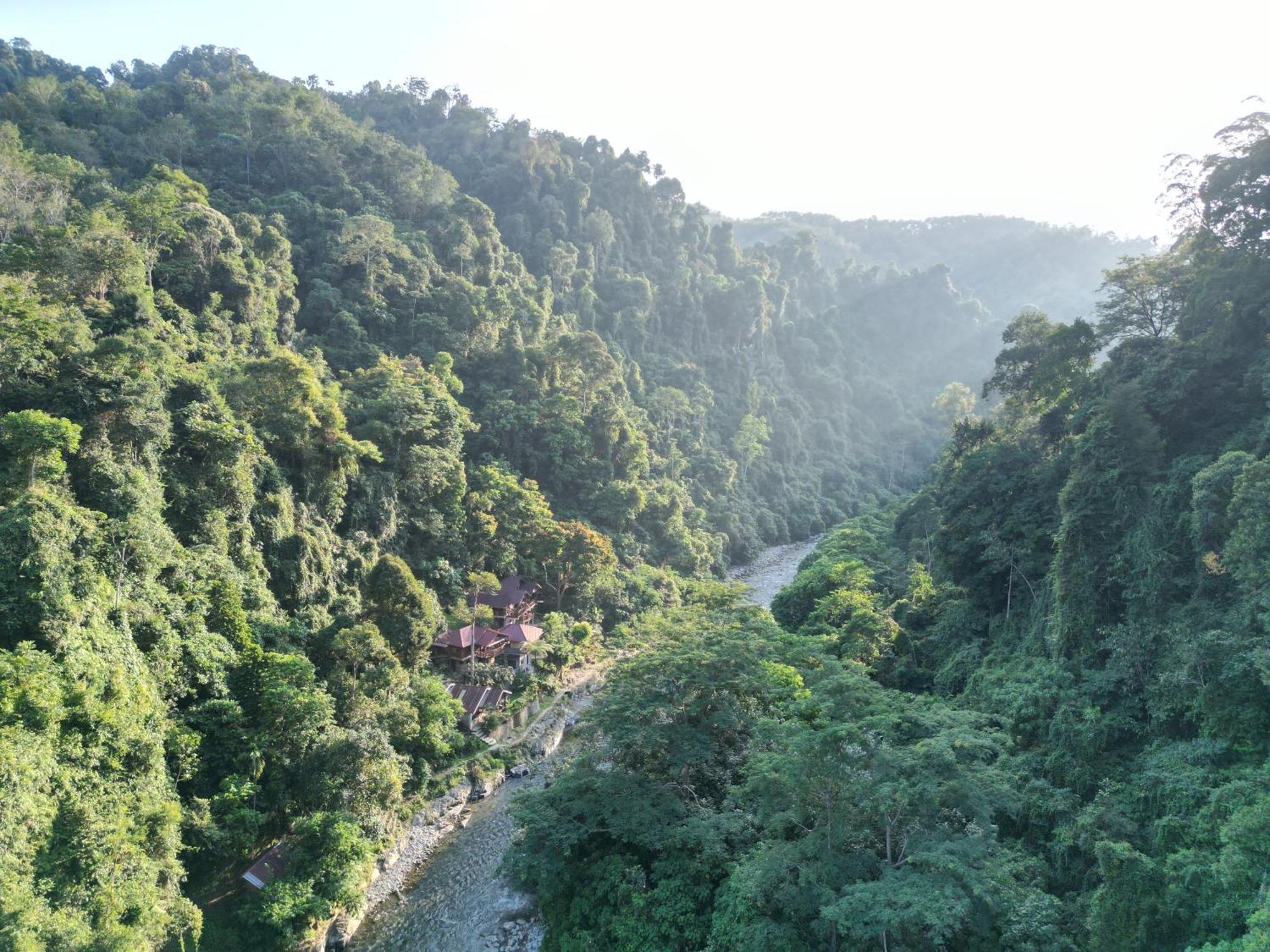 Kupu Kupu Garden Guest House & Cafe Bukit Lawang Bagian luar foto