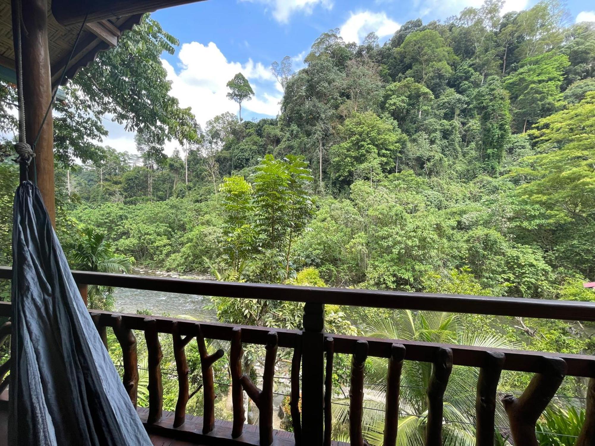 Kupu Kupu Garden Guest House & Cafe Bukit Lawang Bagian luar foto