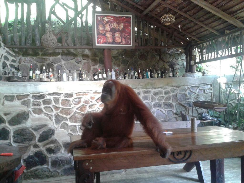 Kupu Kupu Garden Guest House & Cafe Bukit Lawang Bagian luar foto