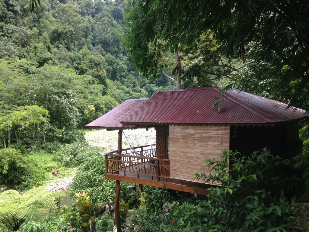 Kupu Kupu Garden Guest House & Cafe Bukit Lawang Bagian luar foto