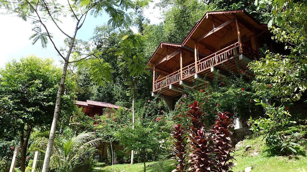 Kupu Kupu Garden Guest House & Cafe Bukit Lawang Bagian luar foto