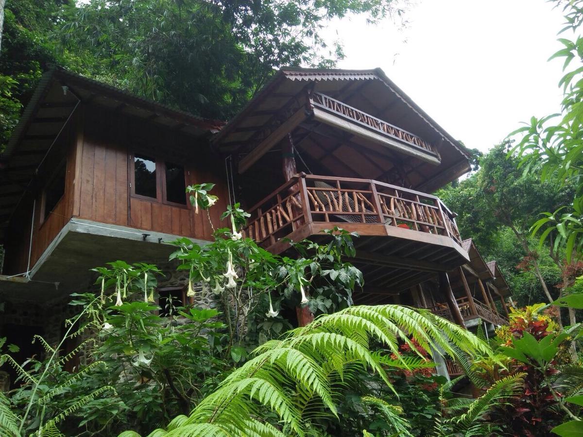 Kupu Kupu Garden Guest House & Cafe Bukit Lawang Bagian luar foto
