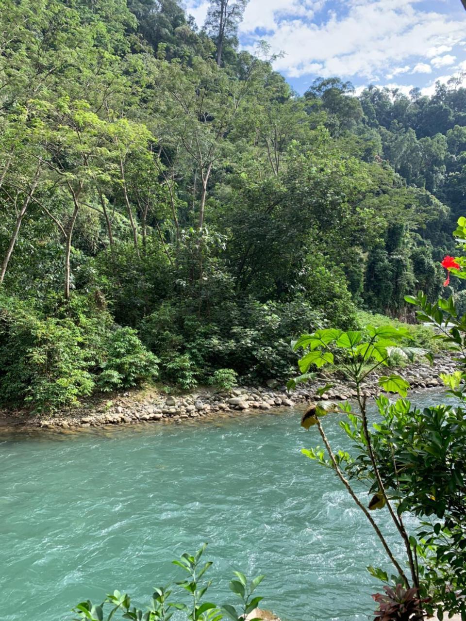 Kupu Kupu Garden Guest House & Cafe Bukit Lawang Bagian luar foto