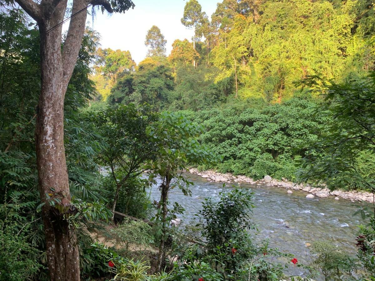 Kupu Kupu Garden Guest House & Cafe Bukit Lawang Bagian luar foto